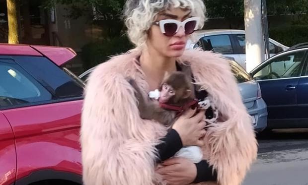 Iubitul Margheritei are interdicție în farmaciile din București! Ce s-a descoperit