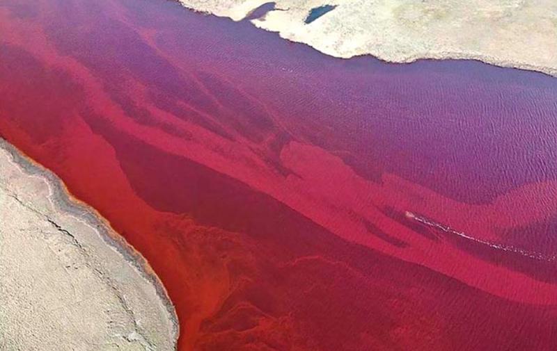 FOTO | Pare sânge peste tot, 20.000 de TONE, dacă stai în zonă poți muri: "Nu pot să îmi imaginez cum ar fi să ardem"