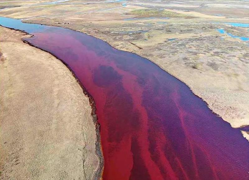 FOTO | Pare sânge peste tot, 20.000 de TONE, dacă stai în zonă poți muri: "Nu pot să îmi imaginez cum ar fi să ardem"