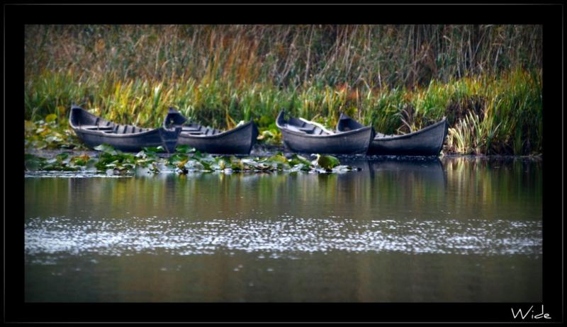 Delta Dunării: Top 10 locuri spectaculoase pe care merită să le vezi în vacanța de vară