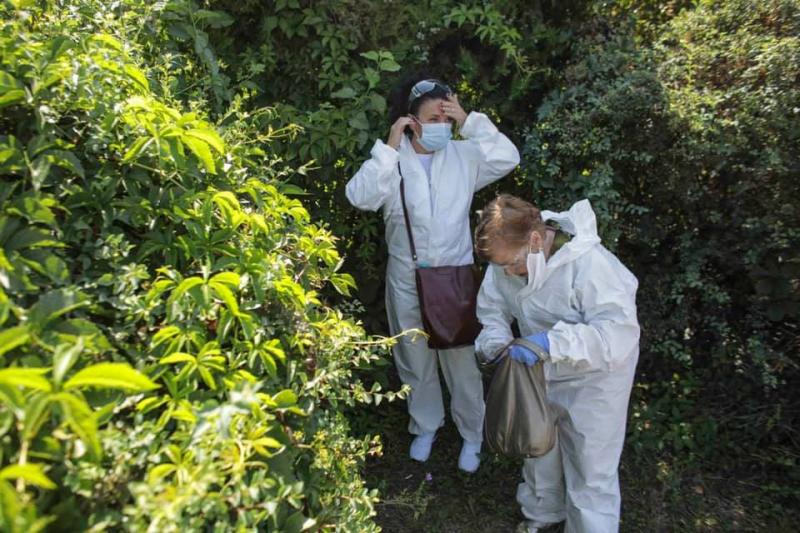 NEWS ALERT! Medicii au ieșit în stradă și protestează în fața Guvernului! "Nu mai putem! Și noi suntem oameni"