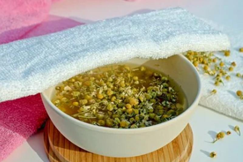 Mușețelul: Întrebuințări,curiozități și beneficii pentru sănătate