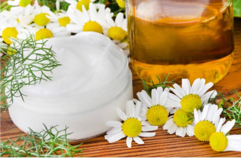 Mușețelul: Întrebuințări,curiozități și beneficii pentru sănătate