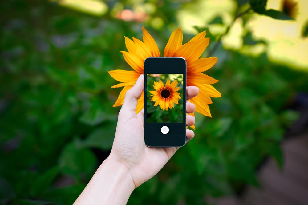 (P) 10 sfaturi pentru a face poze mai bune cu iPhone-ul