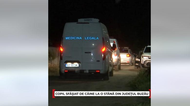 Poza pentru articolul Bunica băiețelului de 4 ani din Buzău: „Nu înțeleg cum a plecat”