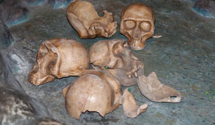 Cum foloseau strămoșii oamenilor craniile celor decedați, potrivit experților. Obiceiul ar fi considerat înfiorător azi