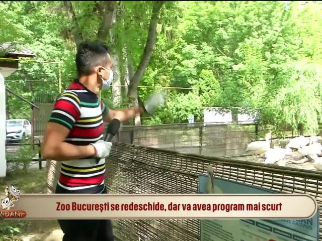 Vizita La Grădina Zoologică Din București Doar Cu Mască și Distanță Socială Antena 1