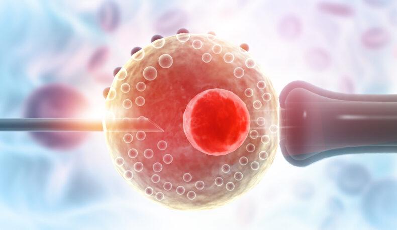 Factorii care influențează succesul sau eșecul procedurii de fertilizare in vitro