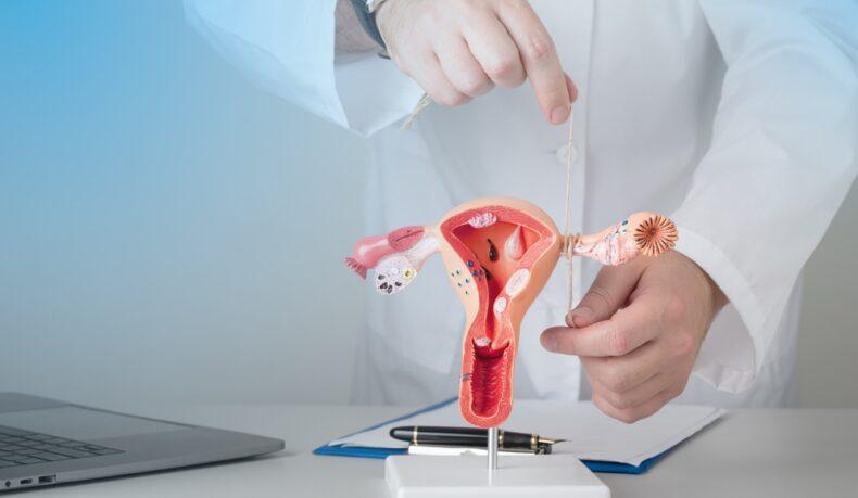 Vârsta la care scade fertilitatea femeii. De ce nu se mai „prinde” sarcina?