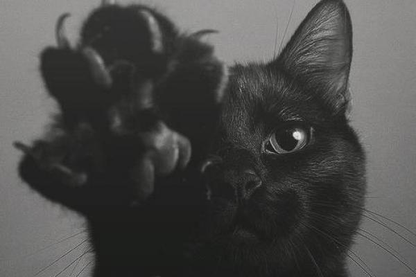 Superstiții De Care Habar N Aveai Ce Se Intamplă Dacă Te Mănancă Obrazul Drept Sau In Interiorul Nasului