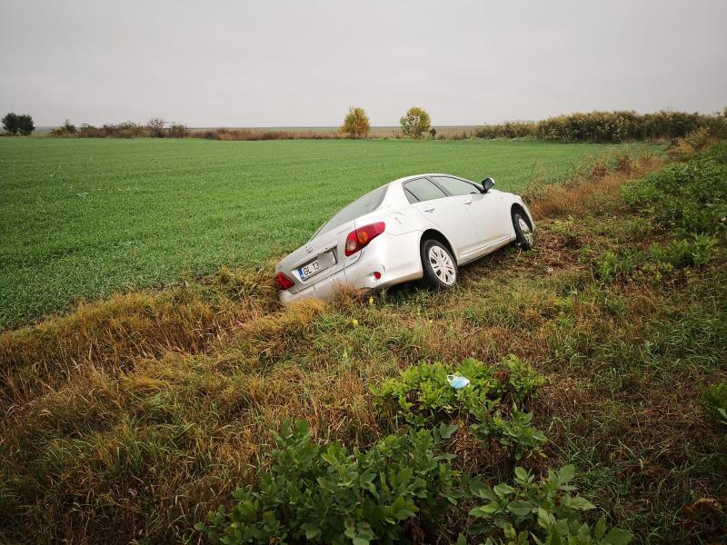 O șoferiță a încercat să evite un iepuraș și a tras dreapta de volan