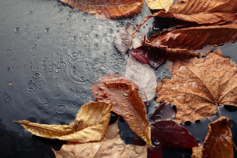 vremea în luna noiembrie