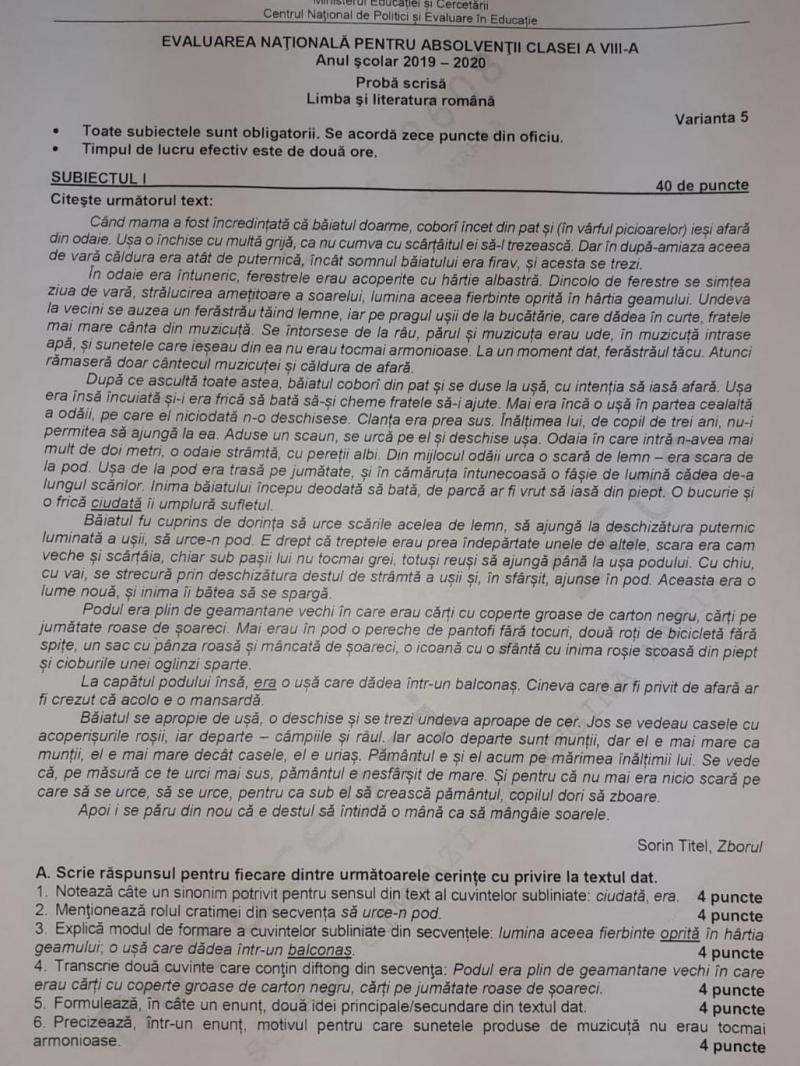 Subiecte Limba şi Literatura Română 