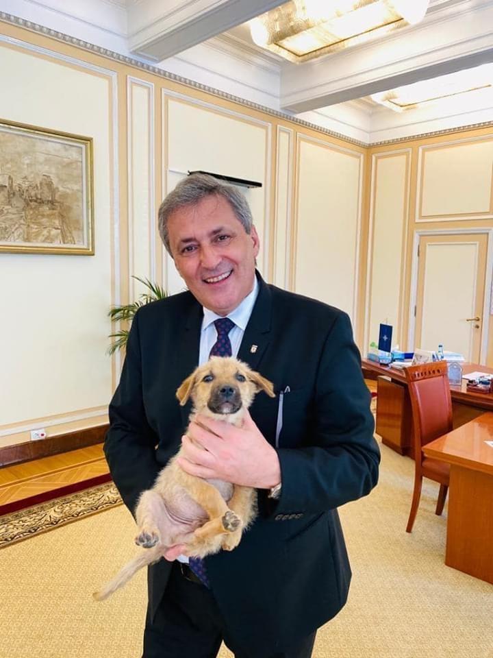 Marcel Vela prezintă cățelușul adoptat