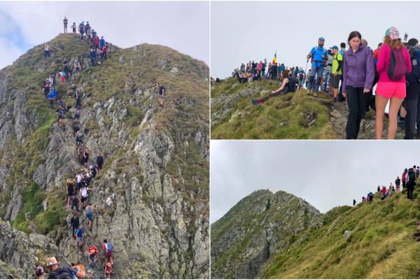 Informații Despre Fagaras Moldoveanu