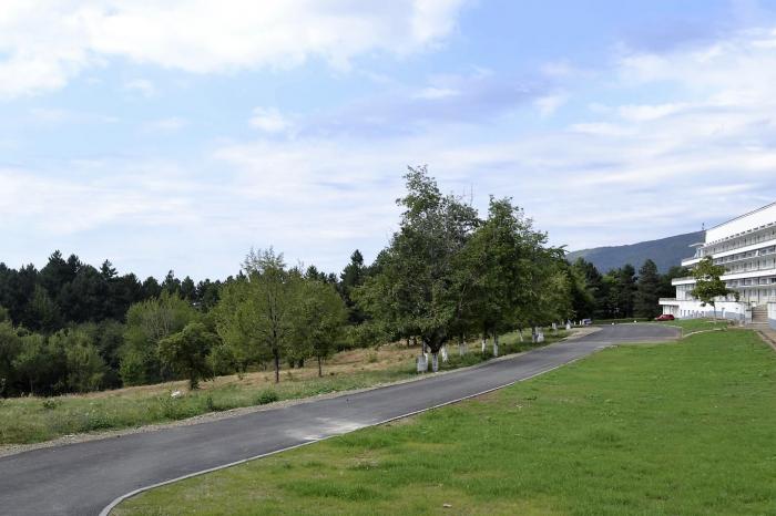 Centrul de recuperare post-COVID de la Runcu, aleea principală de intrare în spital