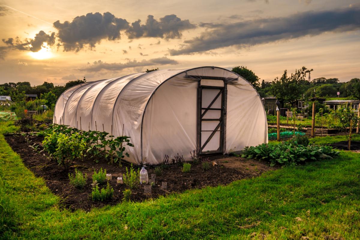 solar pe un câmp verde