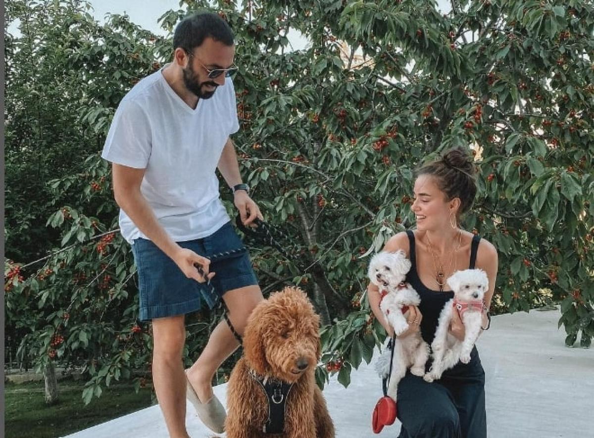 indragostiti cu caini