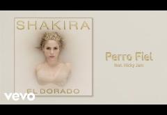 Shakira ft. Nicky Jam - Perro Fiel | PIESĂ NOUĂ + VERSURI