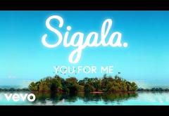 Sigala, Rita Ora - You for Me | lyric video