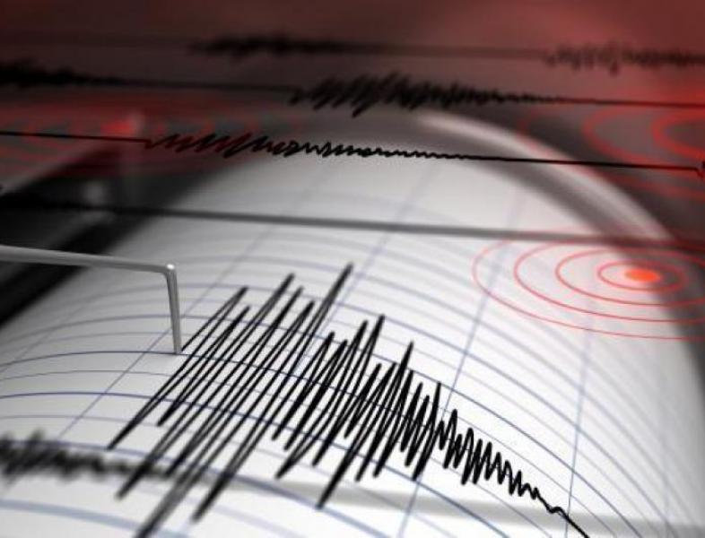 Din nou cutremur în Oltenia