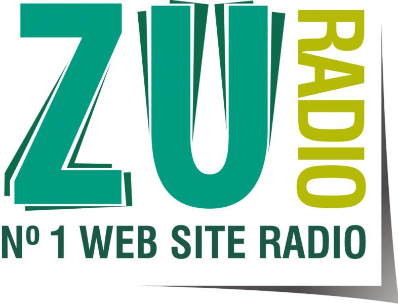 Primele 6 luni de ZU, primele impresii. RadioZu.ro este pe locul I in topul web site-urilor de radio din Romania