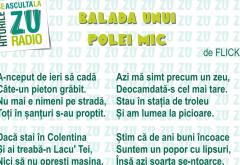 Ascultă aici „Balada unui polei mic”