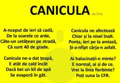 Poezia „Canicula”
