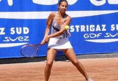 Mihaela Buzărnescu a refuzat participarea la Fed Cup