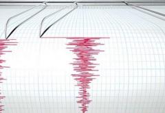 Cutremur, în județul Buzău