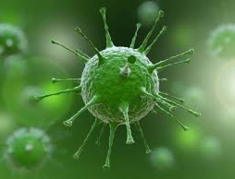 Restricții dure de călătorie din cauza variantei super-mutante a virusului SARS COV 2, variantă descoperită în Africa de Sud