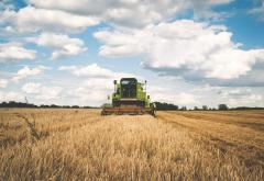 Fermierii români - deranjați de interzicerea exporturilor de cereale