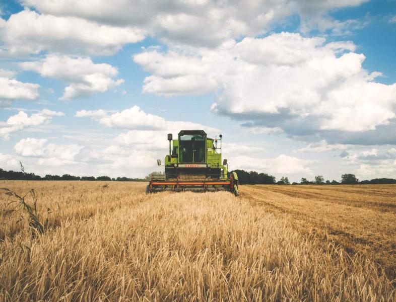 Fermierii români - deranjați de interzicerea exporturilor de cereale