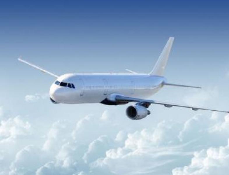 Ordonanța 8 permite efectuarea de zboruri destinate transportului lucrătorilor sezonieri