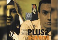 Hitul care a trezit România: PLUS 2 Feat. Alessia - „Shaorma”