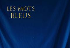 Torpedoul lui Morar: Johan Papaconstantino - „Les mots bleus”