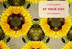  Torpedoul lui Morar: Calvin Harris feat. Tom Grennan - „By Your Side”