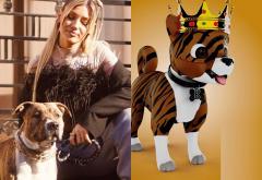 Alina Eremia își transformă câinele într-un NFT în Metaverse