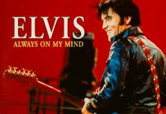 Linkool Lui Cuza: Elvis Presley - „Always On My Mind”