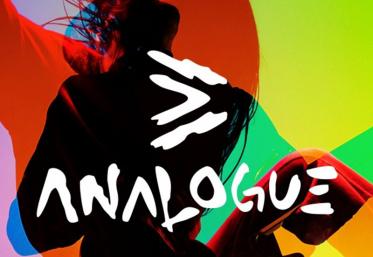 Analogue Festival: S-au pus ȋn vȃnzare biletele de o zi.  Care este programul zilnic?