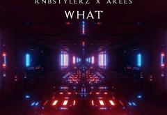 Linkool lui Cuza: Rnbstylerz & AREES - WHAT