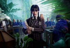 8 locuri din România unde s-a filmat Wednesday, serialul momentului pe Netflix