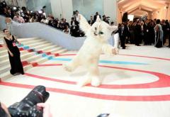 Met Gala 2023: De ce Jared Leto s-a îmbrăcat în pisică. Vezi aici toate ținutele vedetelor