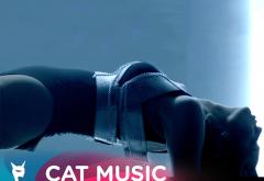 S-a schimbat Piesa Monstru: la masă se așază „Taragot” a Irinei Ross