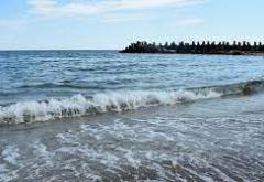 Autoritățile din Constanța reacționează în cazul informațiilor privind o posibilă poluare a apei din Marea Neagră cu bacteria care produce holera