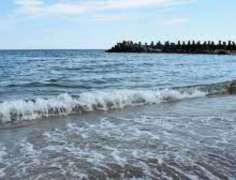 Autoritățile din Constanța reacționează în cazul informațiilor privind o posibilă poluare a apei din Marea Neagră cu bacteria care produce holera