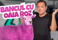 Bancurile săptămânii. Bancul cu Oaia Roz