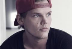 Linkool Lui Cuza: Avicii feat. Sandro Cavazza - Without You