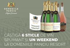 DOMENIILE PANCIU TE PREMIAZĂ LA RADIO ZU