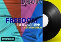 Linkool Lui Cuza: DJ BoBo - „Freedom”